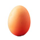 Frische Eier vom Hofladen Größe L